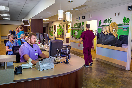 Emergency Care Center (3 of 6)