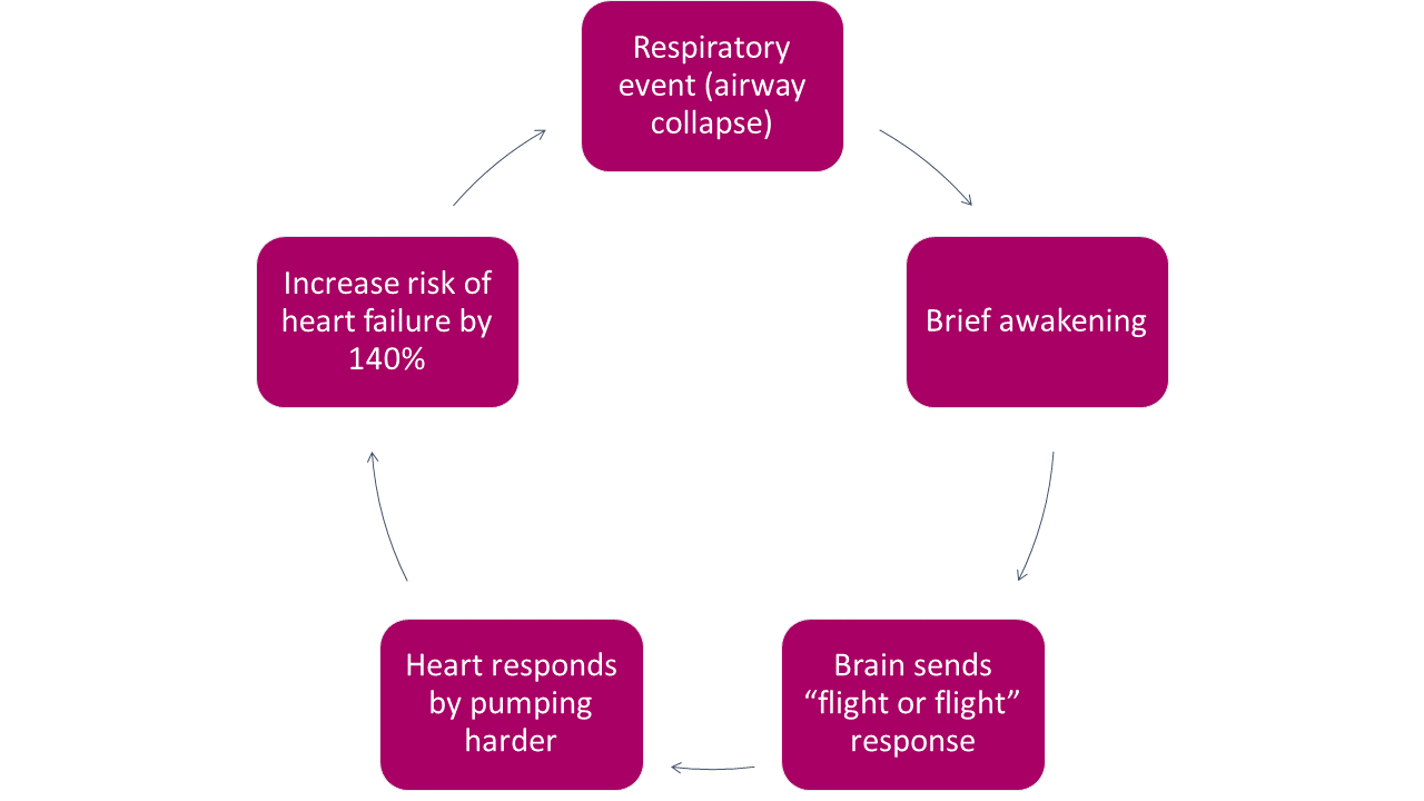 Sleep Apnea Cycle